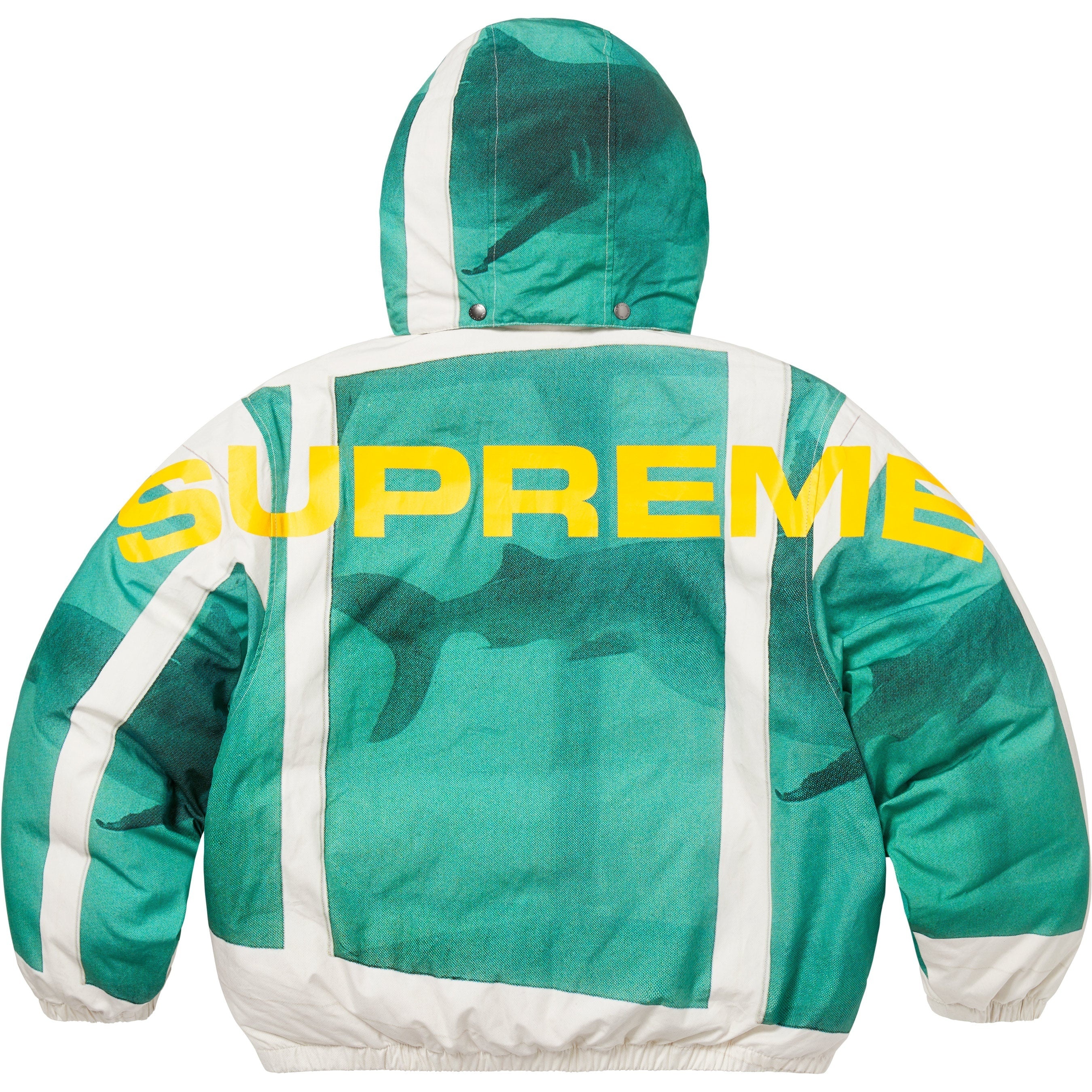 Supreme/Damien Hirst Down Puffer Jacket view 4